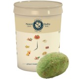 Foxer al Pesto XXL: Secchio da 2000g per Amanti del Pesto