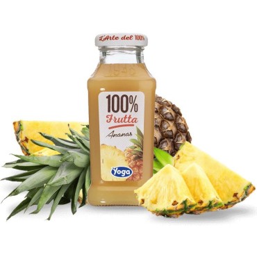 Ananas Arte del 100% Yoga pz.12x200ml